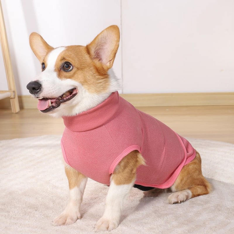 Vest Dog Suit Adjustable
