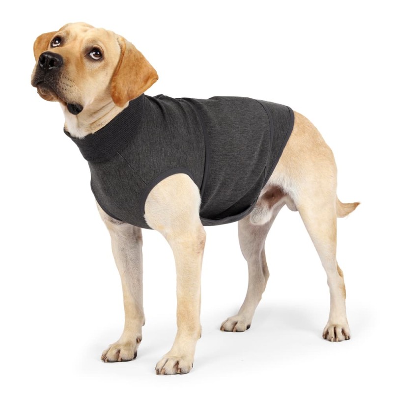 Vest Dog Suit Adjustable
