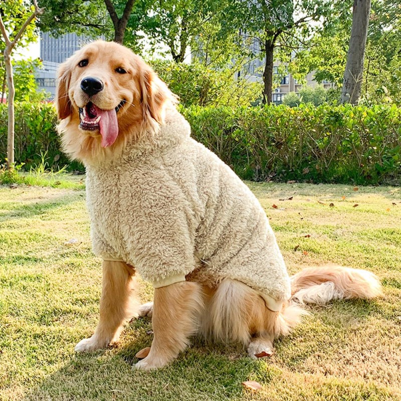 Fleece Dog Hoodie