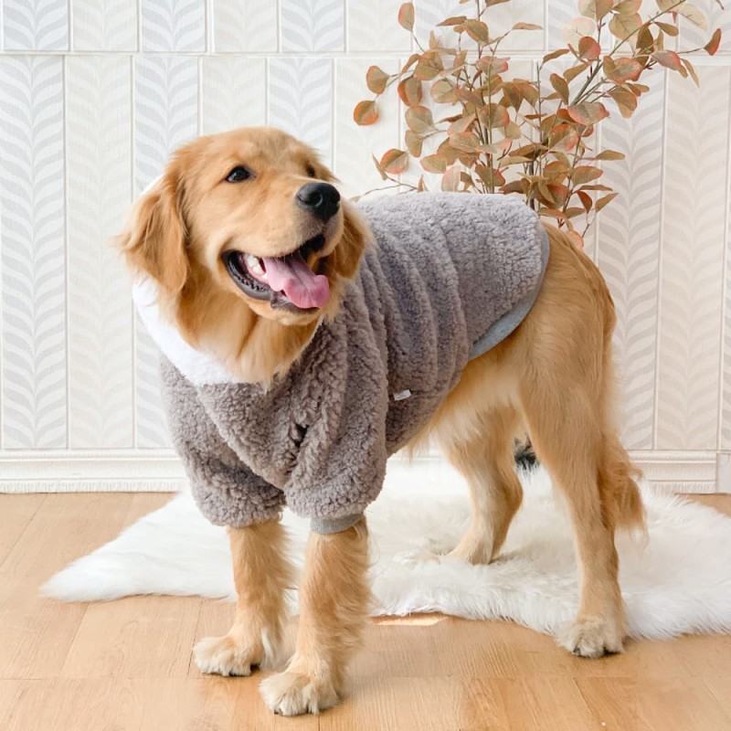 Fleece Dog Hoodie