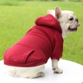 Winter Coat with Hoodie for Dogs