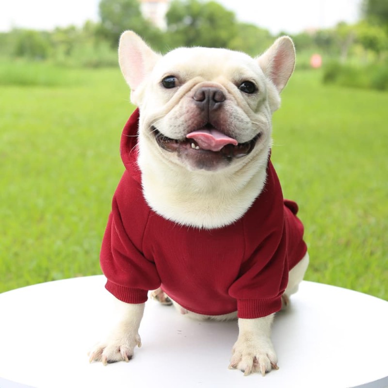 Winter Coat with Hoodie for Dogs