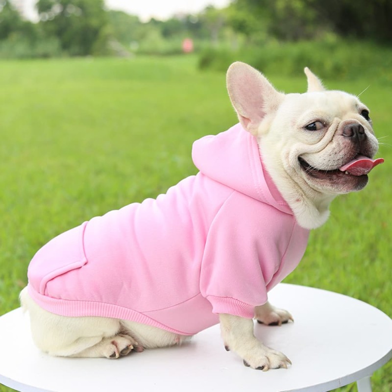 Winter Coat with Hoodie for Dogs