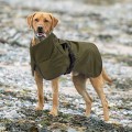 Nylon Waterproof Pet Jacket Polyester Thickened Reflective