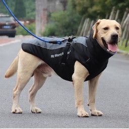 Winter Warm Reflective Light Dog Cloth