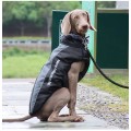 Winter Warm Reflective Light Dog Cloth