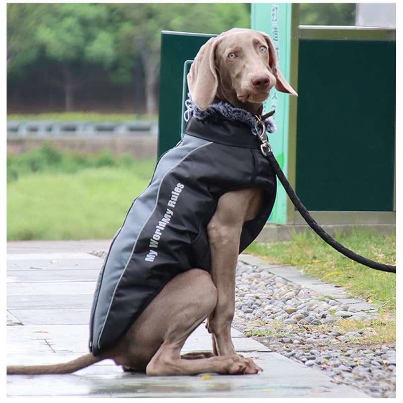 Winter Warm Reflective Light Dog Cloth