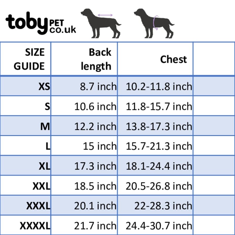 Autumn Winter Sweater Knitwear