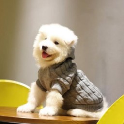 Autumn Winter Sweater Knitwear