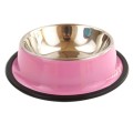 Stainless Steel Dog Bowl with Rubber Base