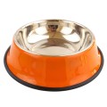 Stainless Steel Dog Bowl with Rubber Base