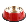Stainless Steel Dog Bowl with Rubber Base