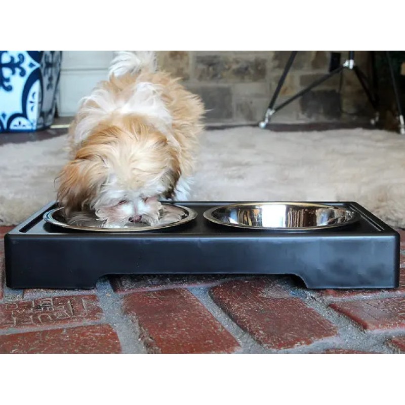 Elevated Dog Bowls Raised Steel Pawprint Feeder