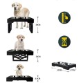 Elevated Dog Bowls Raised Steel Pawprint Feeder