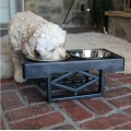 Elevated Dog Bowls Raised Steel Pawprint Feeder