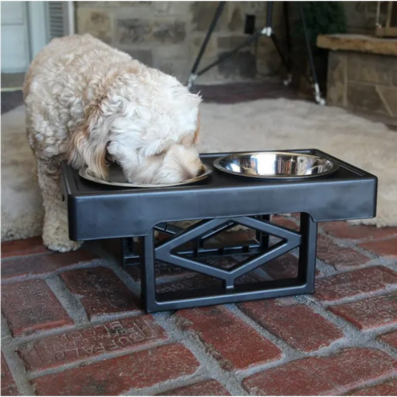Elevated Dog Bowls Raised Steel Pawprint Feeder