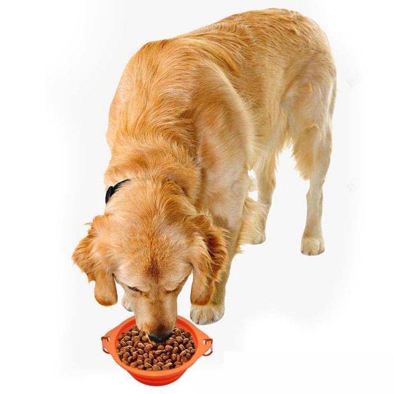 Folding Silicone Portable Dog Bowl