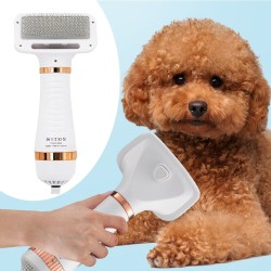 Two-in-one pet hair dryer comb