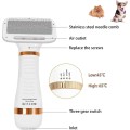Two-in-one pet hair dryer comb