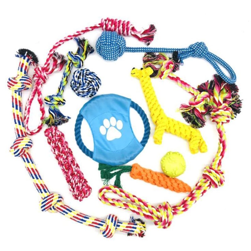 Dog Chew Toys Set