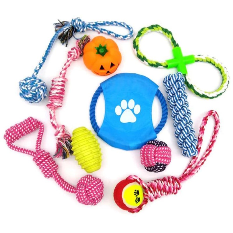 Dog Chew Toys Set