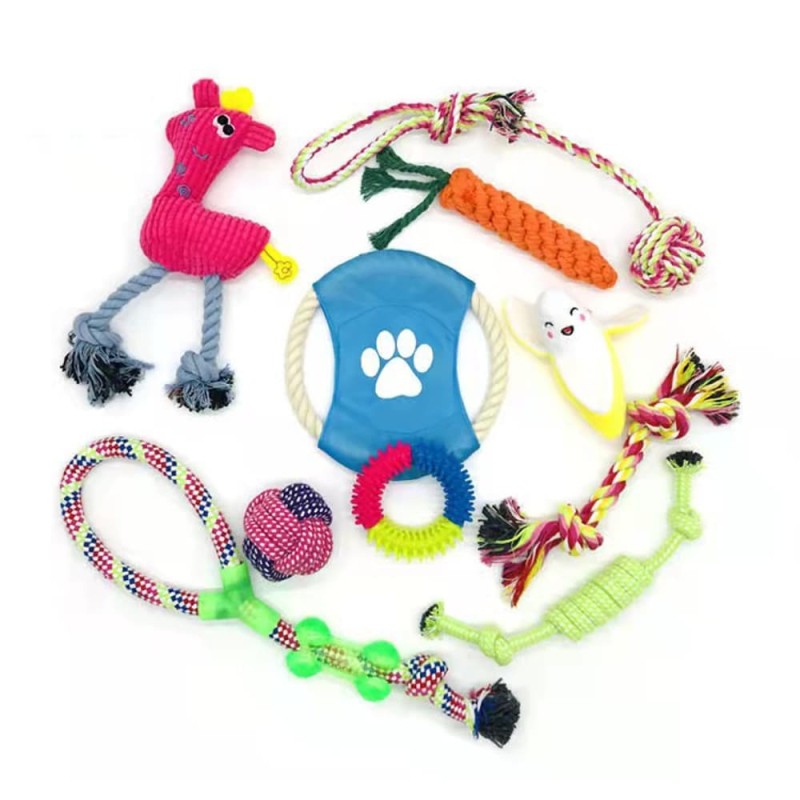 Dog Chew Toys Set