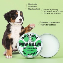 Paw Balm Safe Ingredients Non-irritating