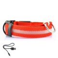 Dog Collar Leads safety harness, flashing lighting up