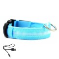 Dog Collar Leads safety harness, flashing lighting up