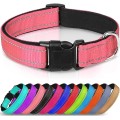 Reflective Neoprene Adjustable Padded Nylon Dog Collar