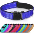 Reflective Neoprene Adjustable Padded Nylon Dog Collar