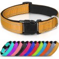 Reflective Neoprene Adjustable Padded Nylon Dog Collar