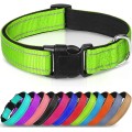 Reflective Neoprene Adjustable Padded Nylon Dog Collar