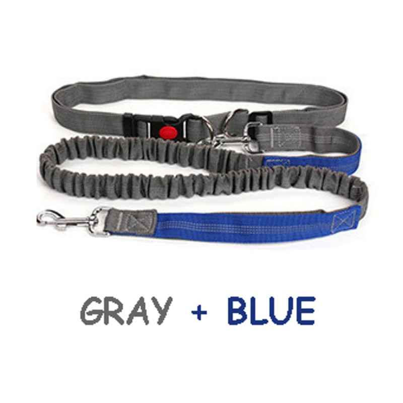 Hands-Free Dog Leash, Reflective Stitches for Training Walking