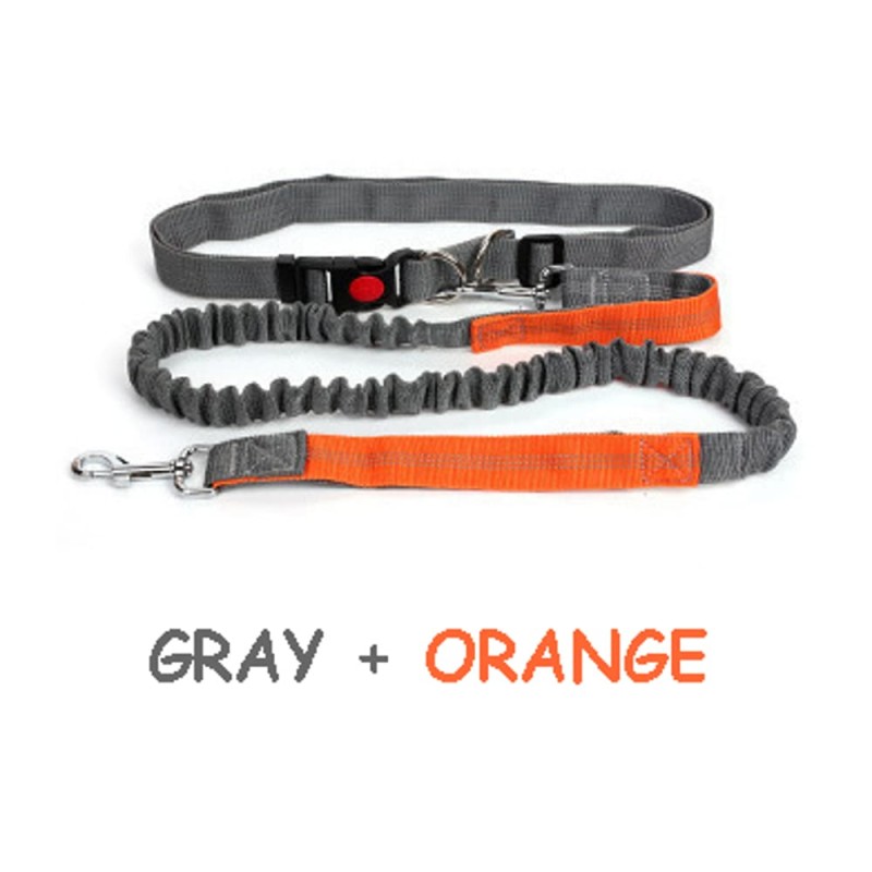 Hands-Free Dog Leash, Reflective Stitches for Training Walking