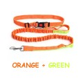 Hands-Free Dog Leash, Reflective Stitches for Training Walking