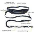 Dog Carrying Training Belt Bag