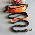 Dog Carrying Training Belt Bag