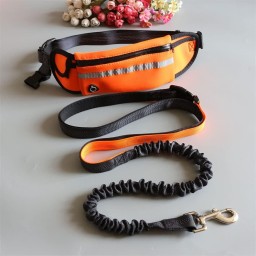 Dog Carrying Training Belt Bag