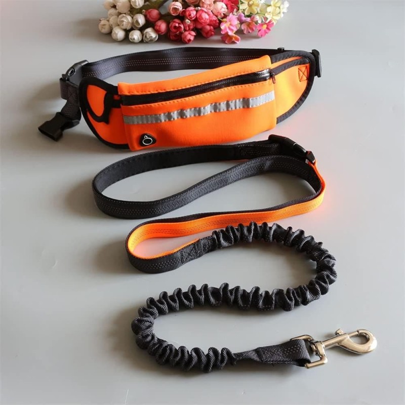 Dog Carrying Training Belt Bag