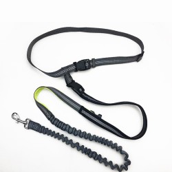 Dog Carrying Training Belt Bag