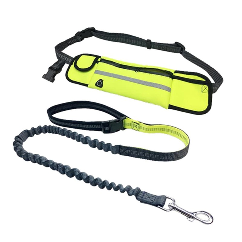Dog Carrying Training Belt Bag