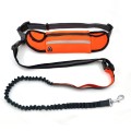 Dog Carrying Training Belt Bag
