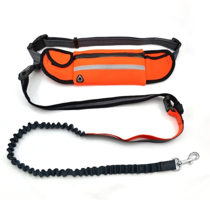Dog Carrying Training Belt Bag