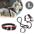 Hand-woven dog rope collar with chest straps