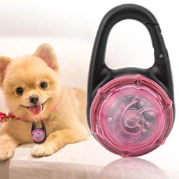 LED Lighting Pendant For Dog