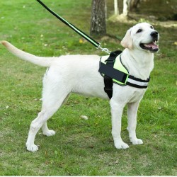 Breathable Adjustable Pet Harness with Handle