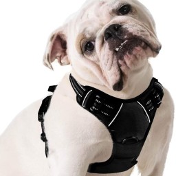 No-Pull Pet Harness with 2 Leash Clips Adjustable Soft Padded