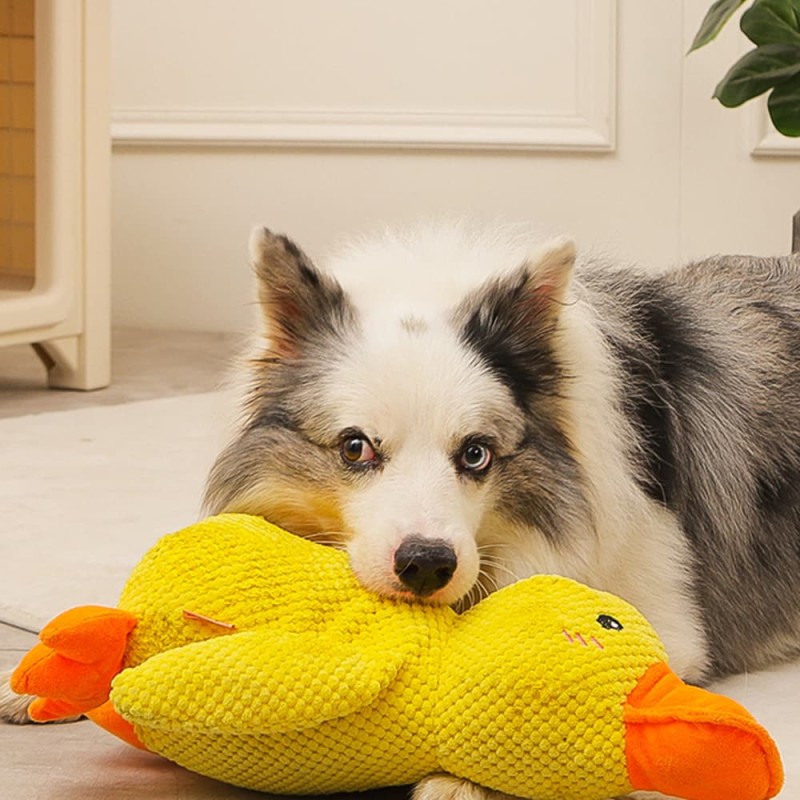 Dog Sleeping Toy Duck Chew Sounding