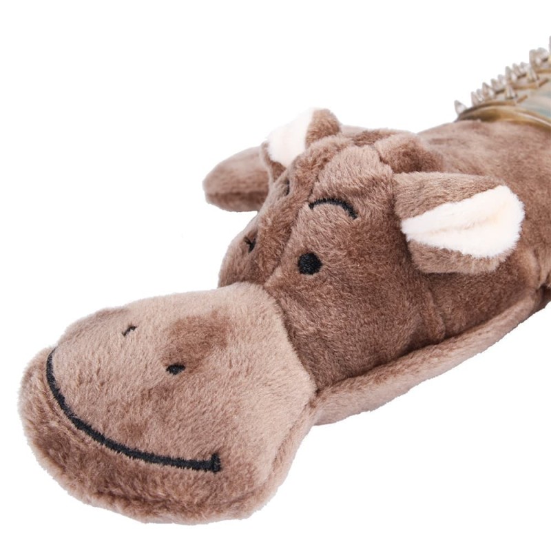 Toothbrush, Chew Toy for Dogs